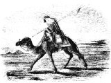 Letter carrier on a fast camel